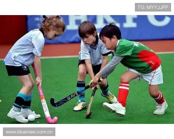 曲棍球运动的魅力与挑战探索：技术、战术及发展前景分析