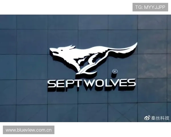 体育赛事官方周边产品供应链的柔性化