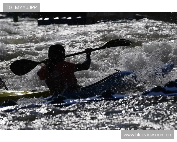 世界皮划艇锦标赛激流回旋的操控精度赛